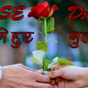 Untitled 1 Untitled 1