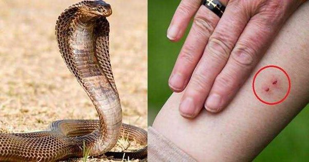 main qimg dbbfbfdffbab lq